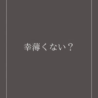 ブログ画像